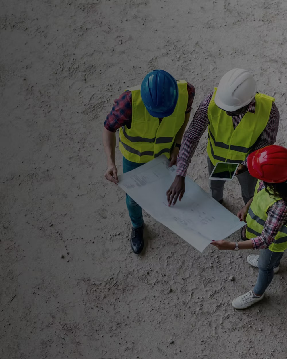 Plessi al lavoro
